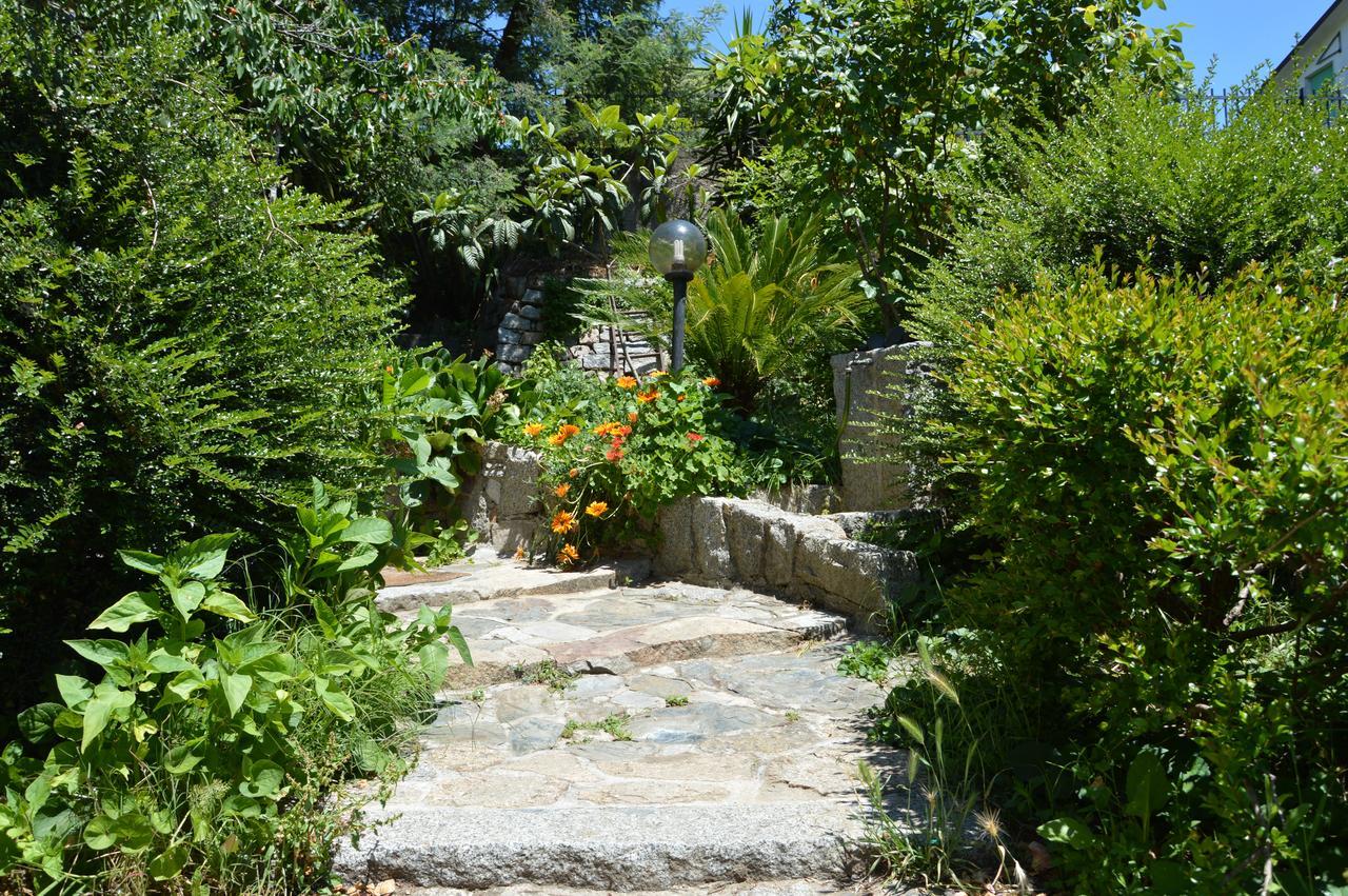 Pietro & Graziella Bed & Breakfast Sorgono Exterior foto